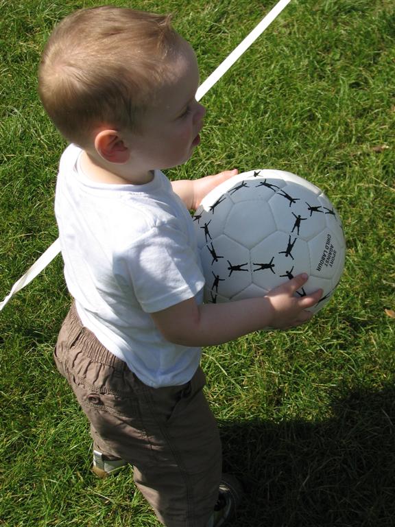 IMG_0081 (Large).JPG